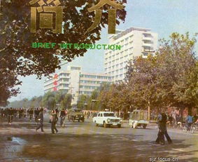 身份證是1301開頭的石家莊人,抓緊看,真的回不去了