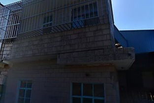 燕諾安 新燕服裝廠的匠心傳承與品牌創(chuàng)新之路